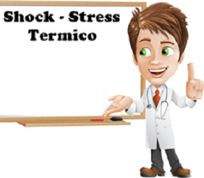 IL RISCHIO DA STRESS TERMICO NEGLI AMBIENTI DI LAVORO