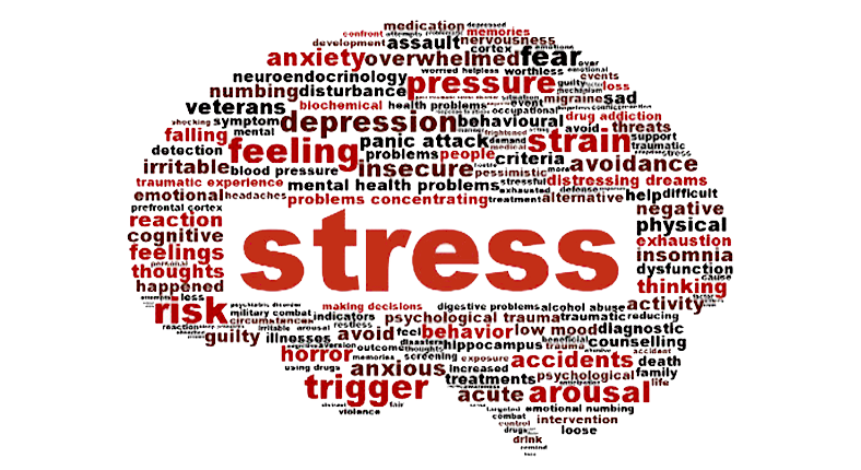 LO STRESS DA LAVORO CORRELATO